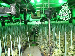 Detenido un varón cuando salía de una nave de Lasalle en la que tenía una plantación interior de marihuana