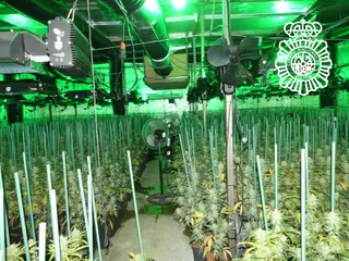 Detenido un varón cuando salía de una nave de Lasalle en la que tenía una plantación interior de marihuana