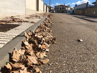 Hojas caídas en la calle Guijuelo