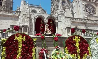 La ofrenda floral engalana el Día de San Pedro