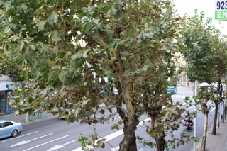 Riesgo por Viento en Salamanca