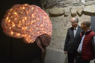 La Semana Mundial del Cerebro abre su programa de actividades con el I Certamen de Neurociencia | Foto: Comunicación USAL