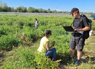 El IRNASA CSIC de Salamanca acoge esta semana una reunión científica referente en el cultivo de cereales