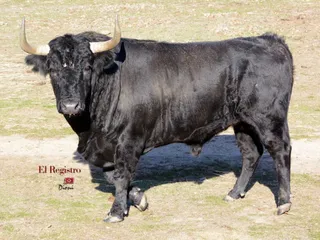 Mateos 13 b 1200x900