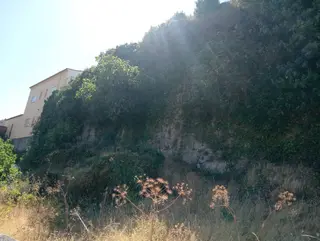 Vegetación Acumulada En La Muralla De Béjar | FEVESA