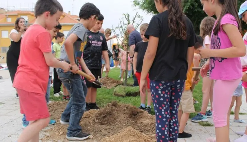 Mozárbez niños plantación árboles2