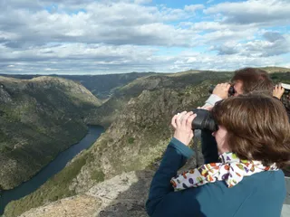 Turismo ornitológico