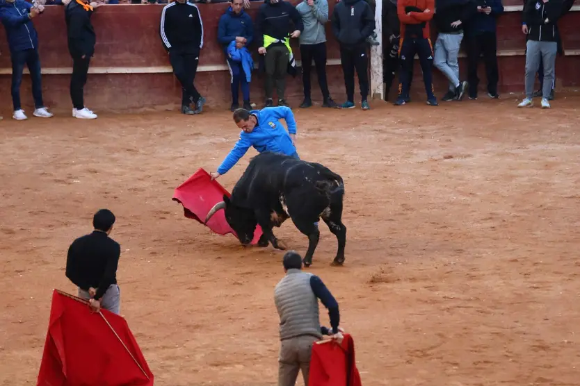 Capea de martes por la tarde en el Carnaval del Toro 2026