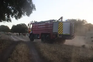 Bomberos actuando en un incendio de pasto en Torres de Moncantar. Fotos Andrea M (3)