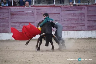 Rosquilla de Oro 17 marzo 2019 (166) (Copy)
