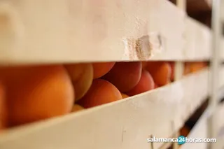 254197