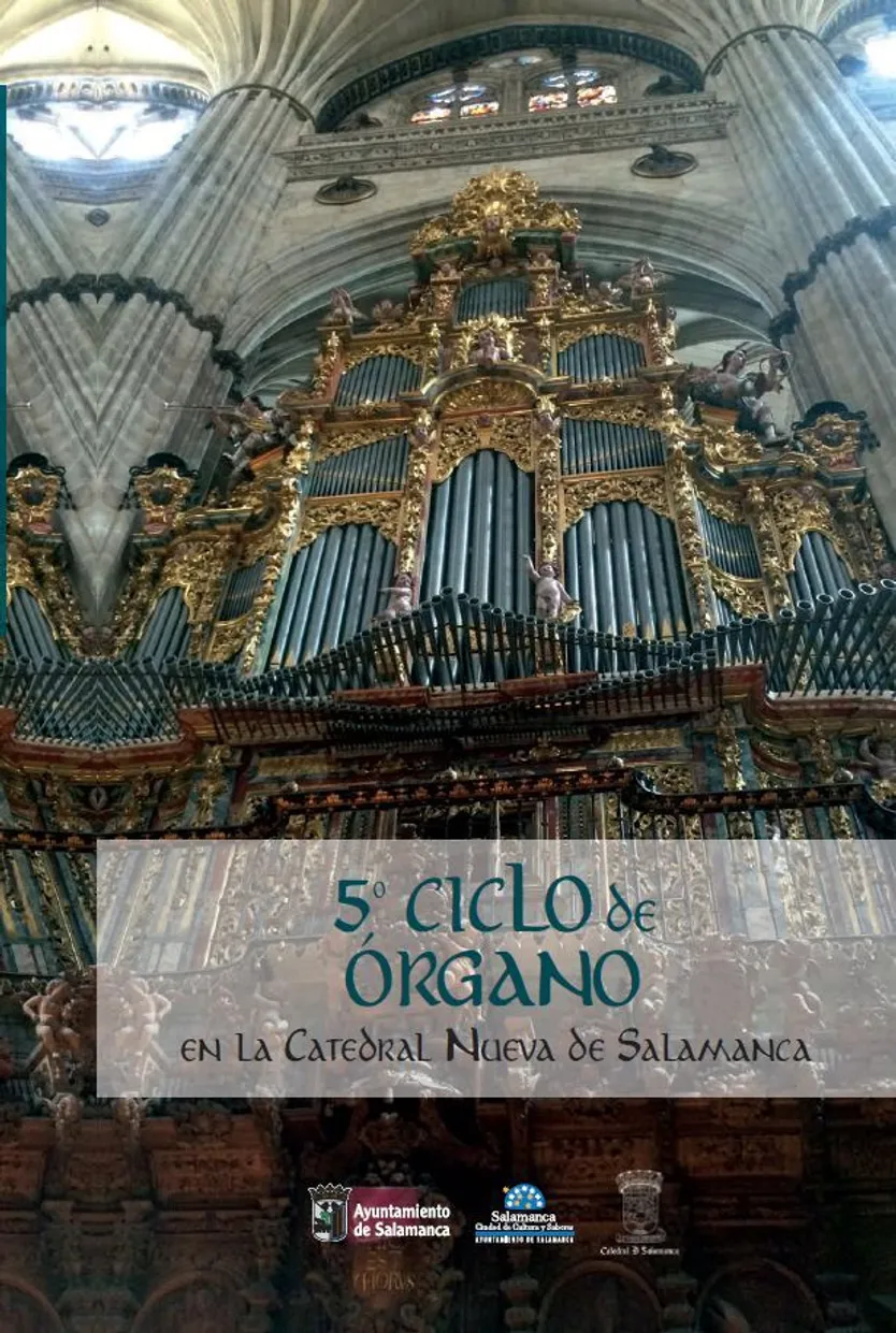 Ciclo de órgano