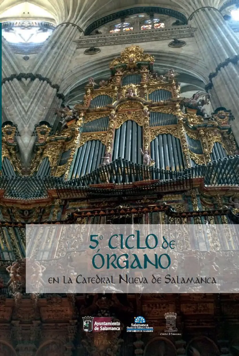 Ciclo de órgano