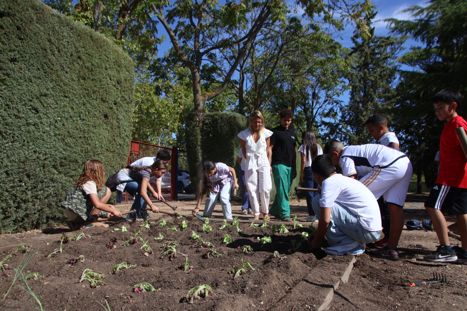 La Concejala De Medio Ambiente, Mar&iacute;a Jos&eacute; Coca, Informa Sobre El Proyecto De Huertos Escolares (2)