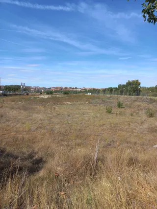 Parcela municipal de Santa Marta de Tormes