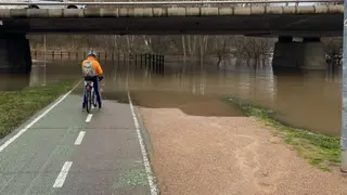 Carril bici bajo el puente Juan Carlos I | S24H