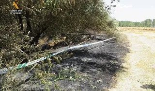 La Guardia Civil esclarece un incendio forestal por una imprudencia en Pedrosillo de Alba