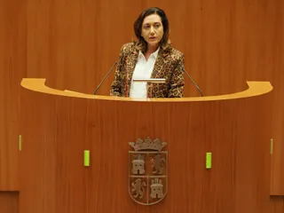 La procuradora de Unión del Pueblo Leonés (UPL) Alicia Gallego (1)