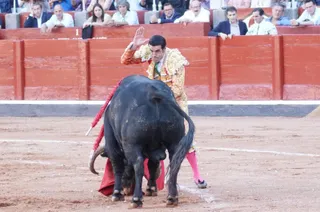Emilio de Justo simulando la suerte suprema cuando ya le había perdonado la via a 'Buenasuerte' de Garcigrande | Juanes