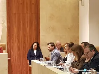 Pleno Ciudadanos (2)