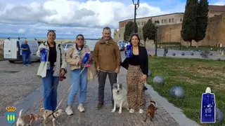Ciudad Rodrigo Campaña Canina