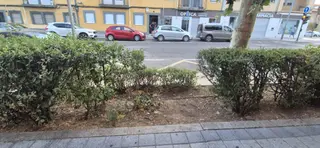 UPL denuncia el estado de las zonas verdes y pide más mantenimiento al Ayuntamiento de Salamanca