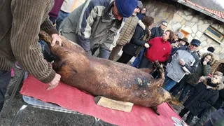 Matanza montemayor (3)