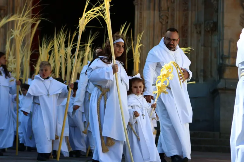 Procesión de la Borriquilla en Salamanca