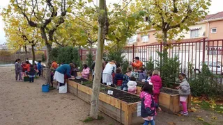 La red de huertos escolares comunitarios de la USAL, ejemplo de innovación y calidad educativa