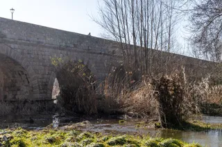 El PSOE denuncia la suciedad del río Tormes