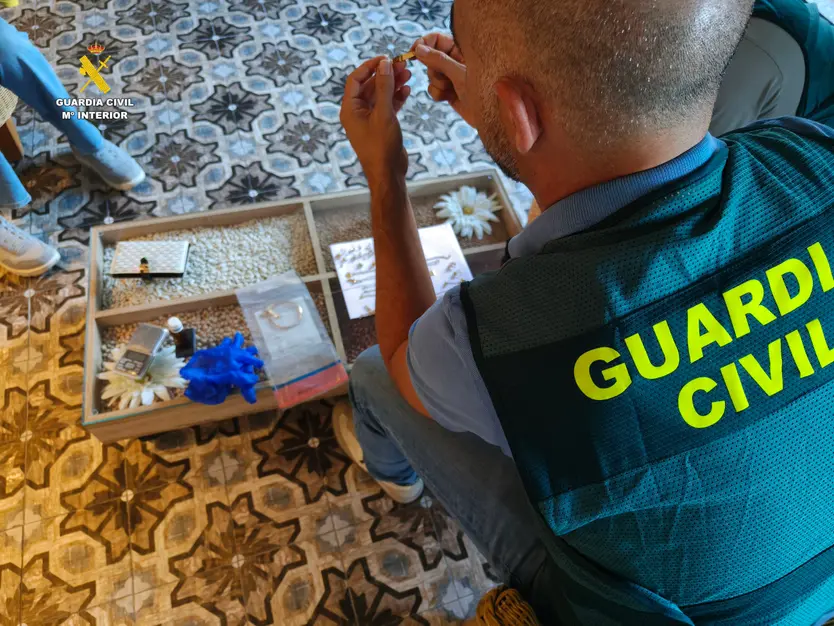 La Guardia Civil de Salamanca desarticula un grupo criminal especializado en robos con fuerza en viviendas
