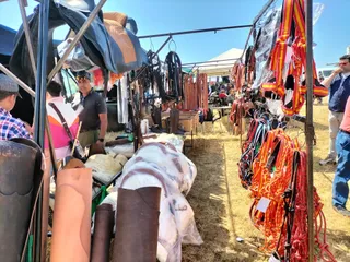 Feria de San Isidro en Lumbrales 2023 (1)