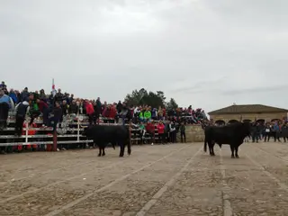 Capea del Carnaval del Toro de Ciudad Rodrigo 2023