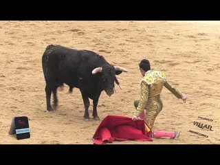 Novillada picada Ciudad Rodrigo 13 de Febrero 2018