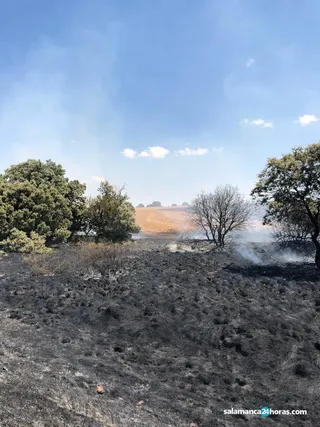 Incendio Los Montalvos 3