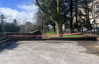 Zona arbolada del paseo de Carmelitas acotada por las fuertes rachas de viento. Foto de archivo | S24H