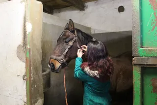 Prácticas alumnos de Ganadería y Asistencia en Sanidad Animal. Agrarias. IES Torres Villarroel