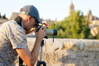 Avistamiento de aves