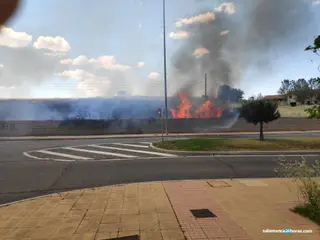 Alarma por un incendio en el barrio de Los Alcaldes cercano a las viviendas