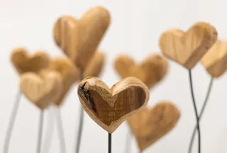 Exposición 'Bosque de corazones' del artista Ángel Martín | Imagen del autor Ángel Martín
