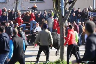 Toro del Antruejo 2020 Carnaval del Toro (10)