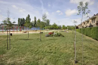 Acondicionamiento de zonas verdes en Santa Marta de Tormes