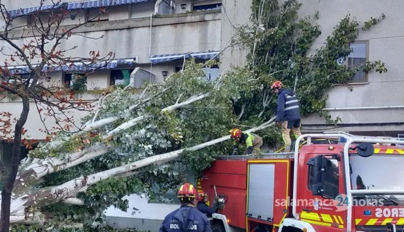 GALERÍA | La borrasca