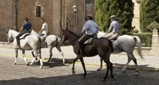 Caballos