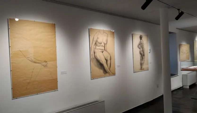 Exposición Ricardo Segundo Diputación de Salamanca1