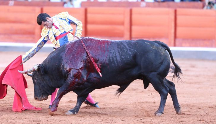 Derechazo de Emilio de Justo
