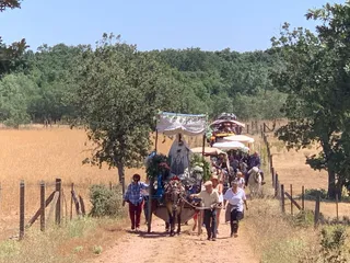 La romería de la Virgen de la Peña de Francia durante su regreso a Ciudad Rodrigo. Foto S24H