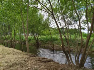Río Almar