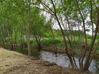 Río Almar