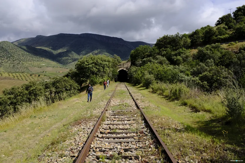 GALERÍA | Camino de Hierro